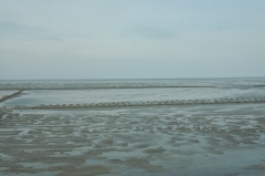 Sylt-Shuttle 6