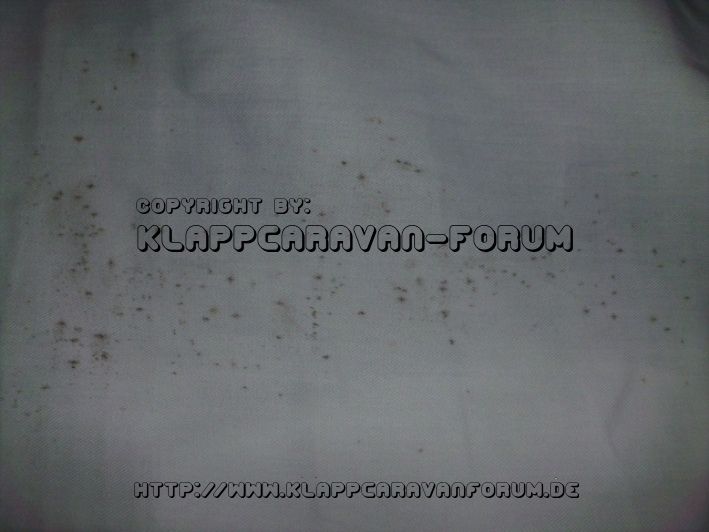 Stockflecken in der Schlafkabine