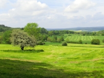 Dransfeld2012 (23)
