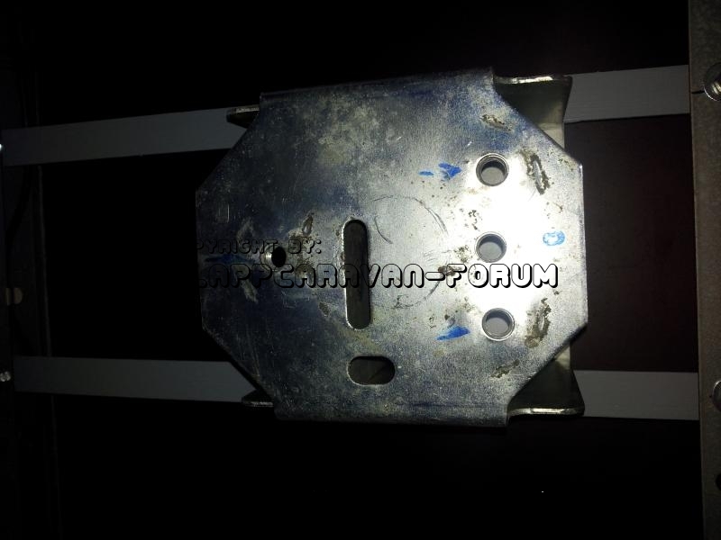 E-Rad-Halter2