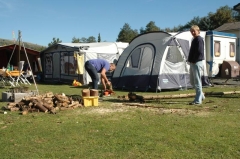 Holz 3
